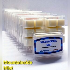 MOUNTAINSIDE MIST-Bath & Body Works Candle Wax Melts- $8 per Pack